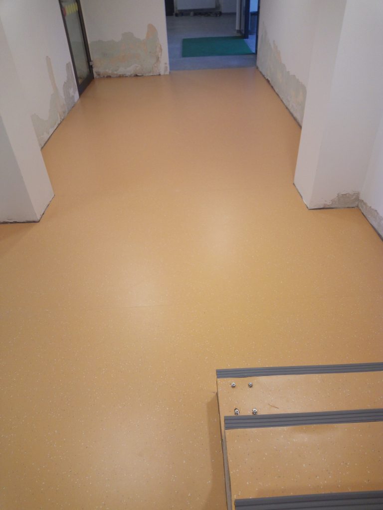 IMG_20231217_144800_847